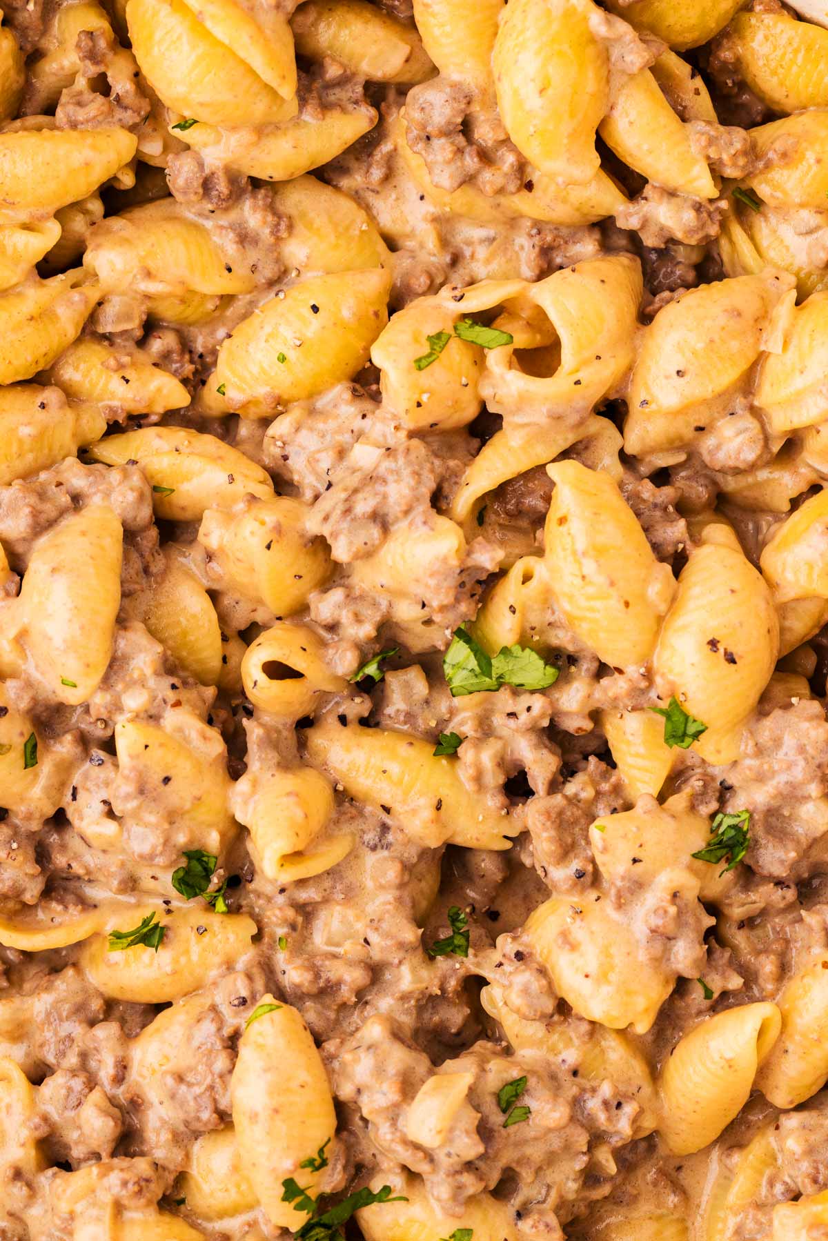 Close up of ground beef and pasta.