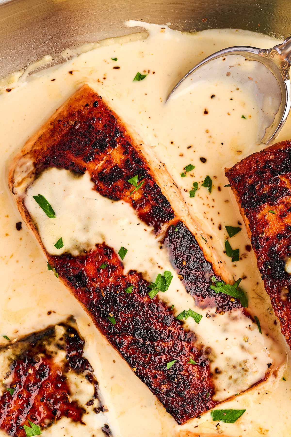 Piece of salmon in creamy sauce in skillet.