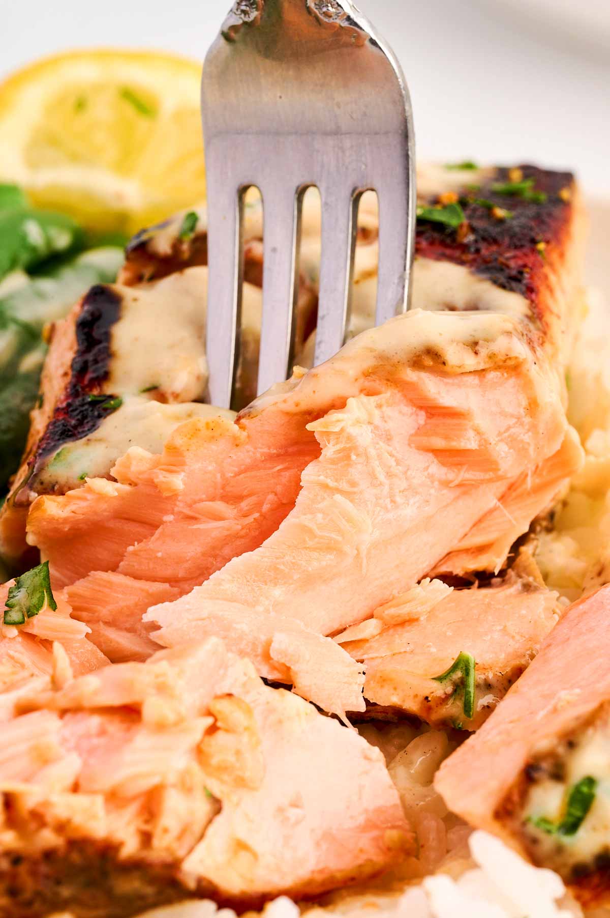 Flaky salmon with fork stuck in.