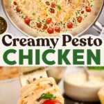 Creamy Pesto Chicken Pin