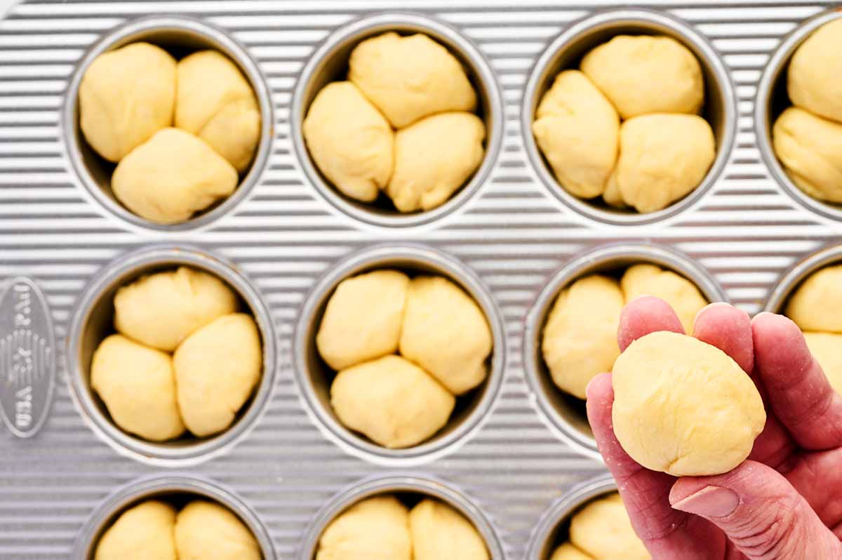 Holding a dough ball over unbaked cloverleaf rolls.