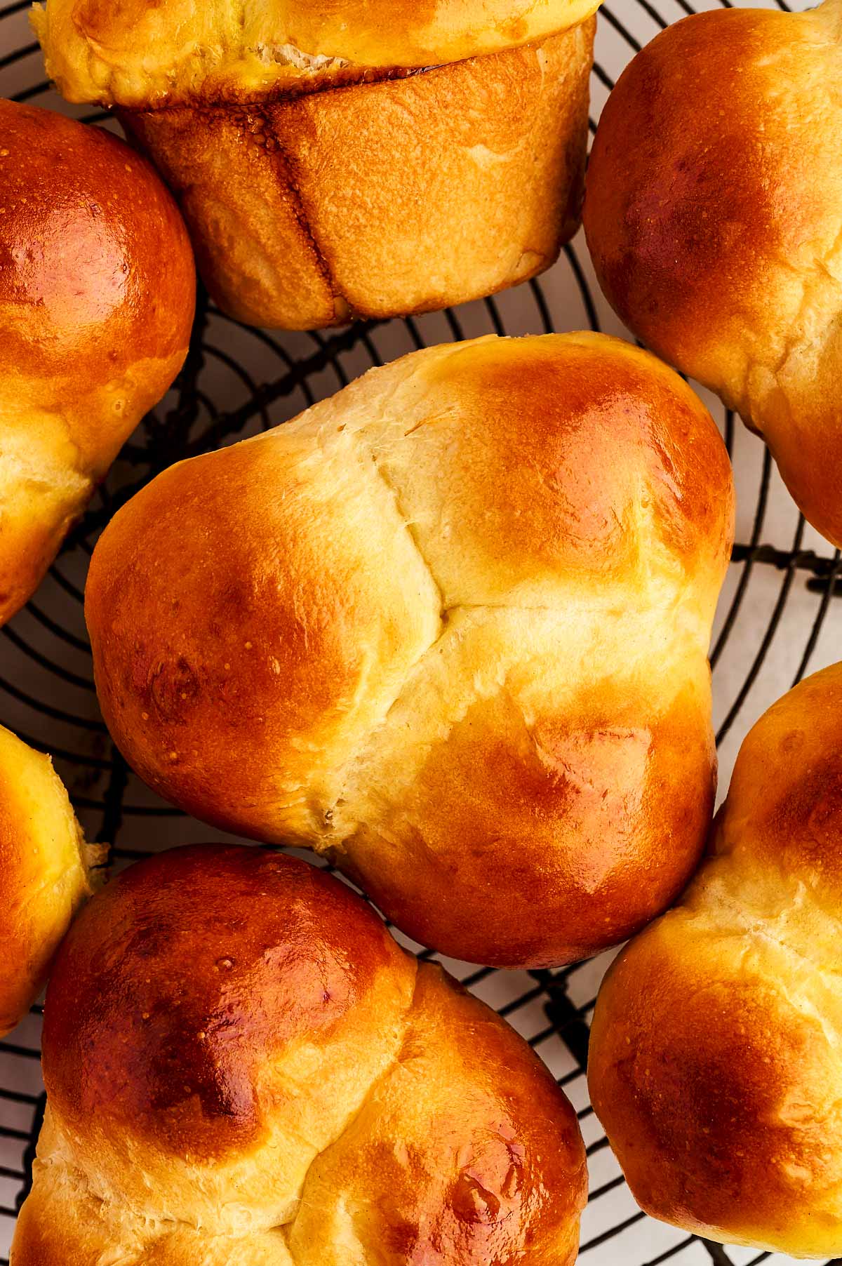 Close up photo of a cloverleaf dinner roll from above.