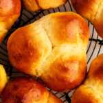 Close up photo of a cloverleaf dinner roll from above.