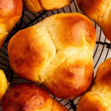 Close up photo of a cloverleaf dinner roll from above.