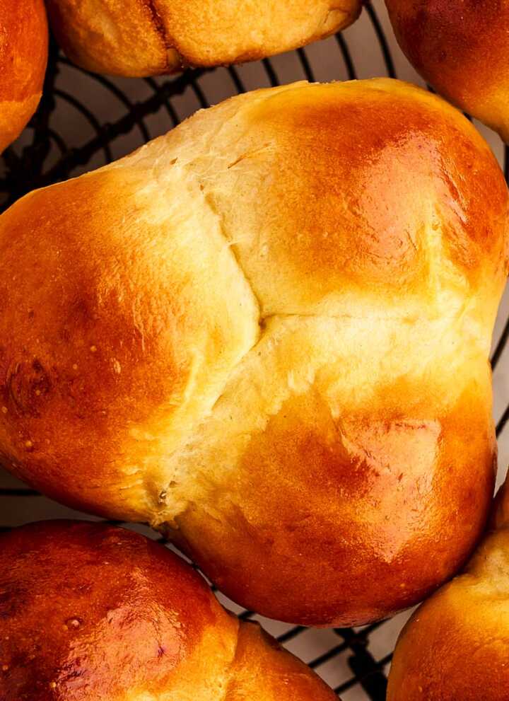 Close up photo of a cloverleaf dinner roll from above.