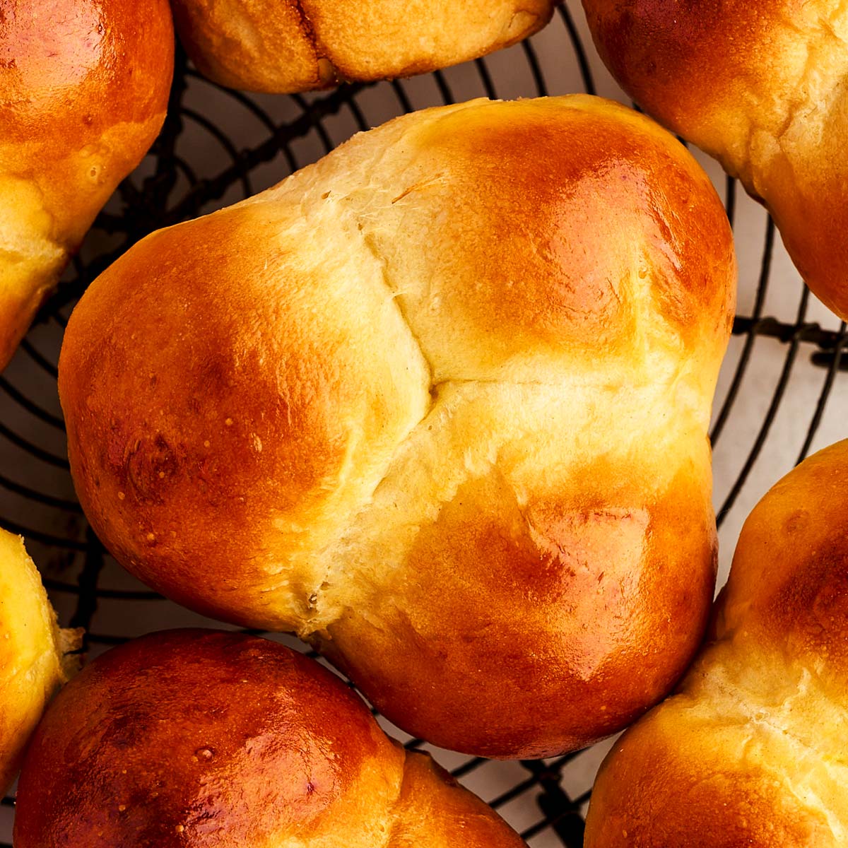Close up photo of a cloverleaf dinner roll from above.