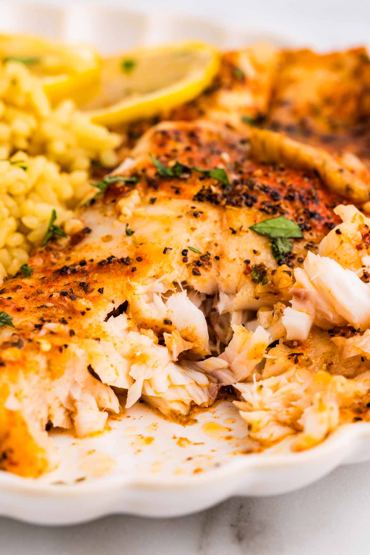 Close up look of baked tilapia flaked with a fork.
