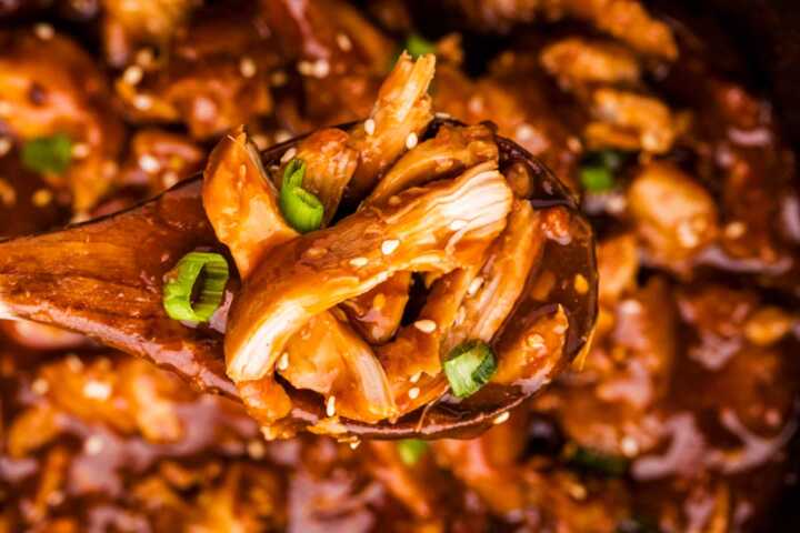 Spoonful of honey garlic chicken.