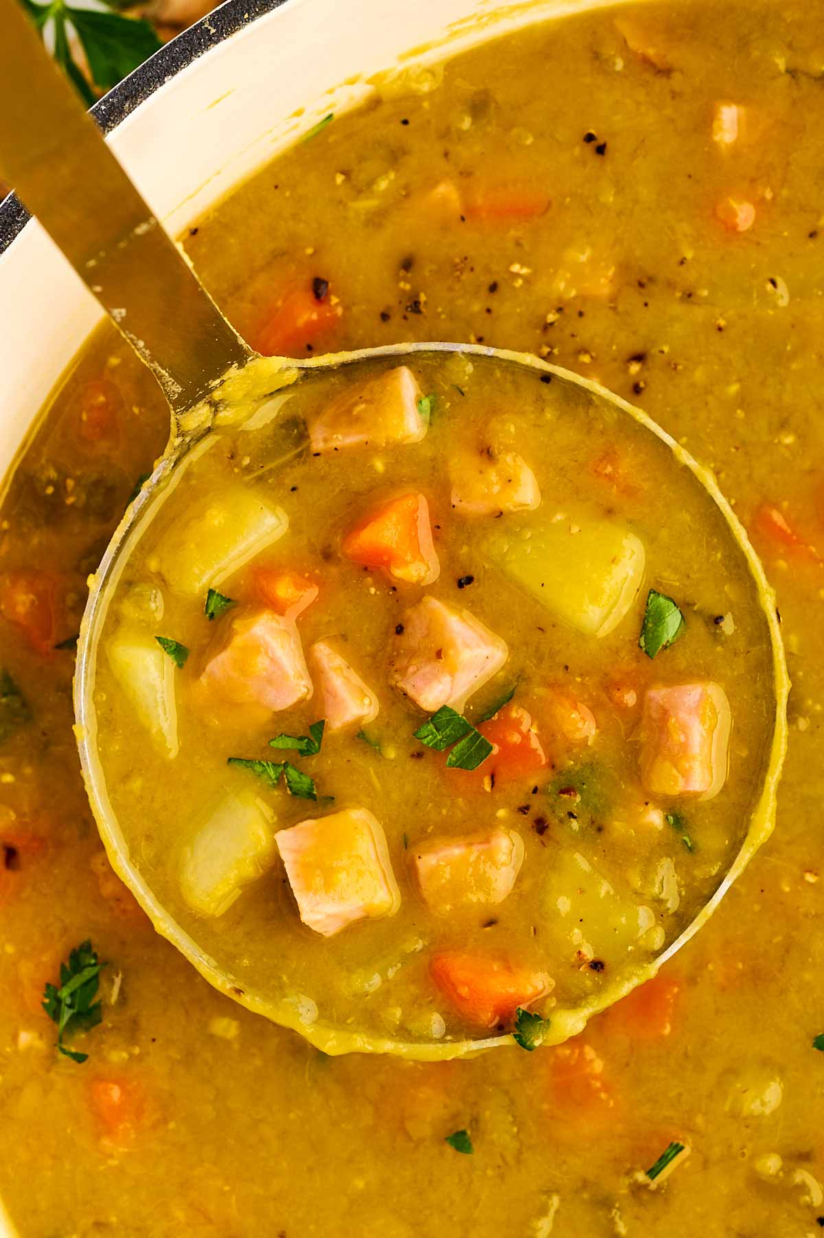 Close up view of ladle filled with split pea and ham soup.