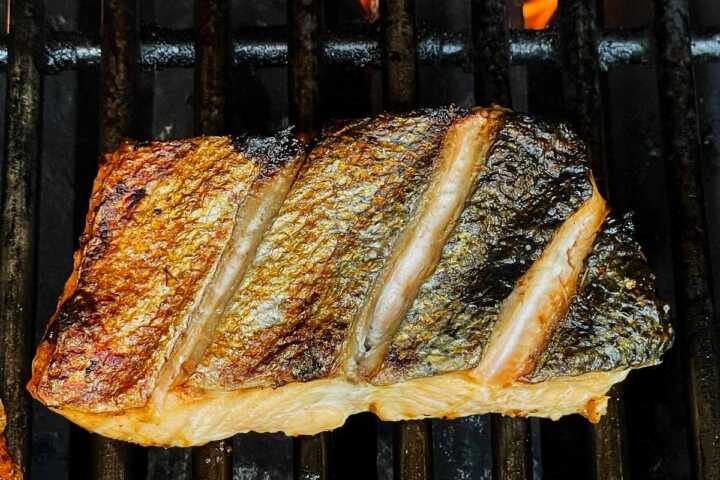 Salmon fillet on grill skin side up.