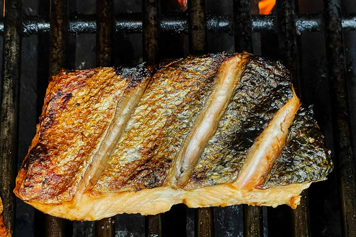 Salmon fillet on grill skin side up.