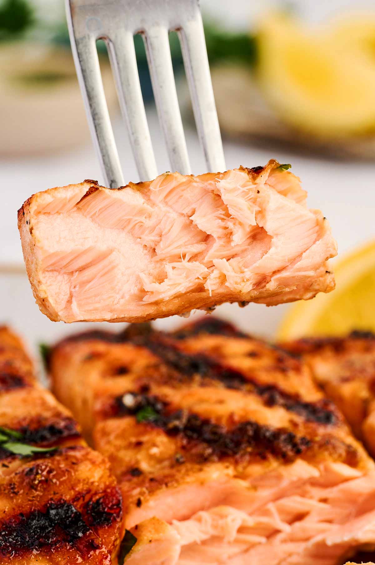 Piece of grilled salmon on a fork.