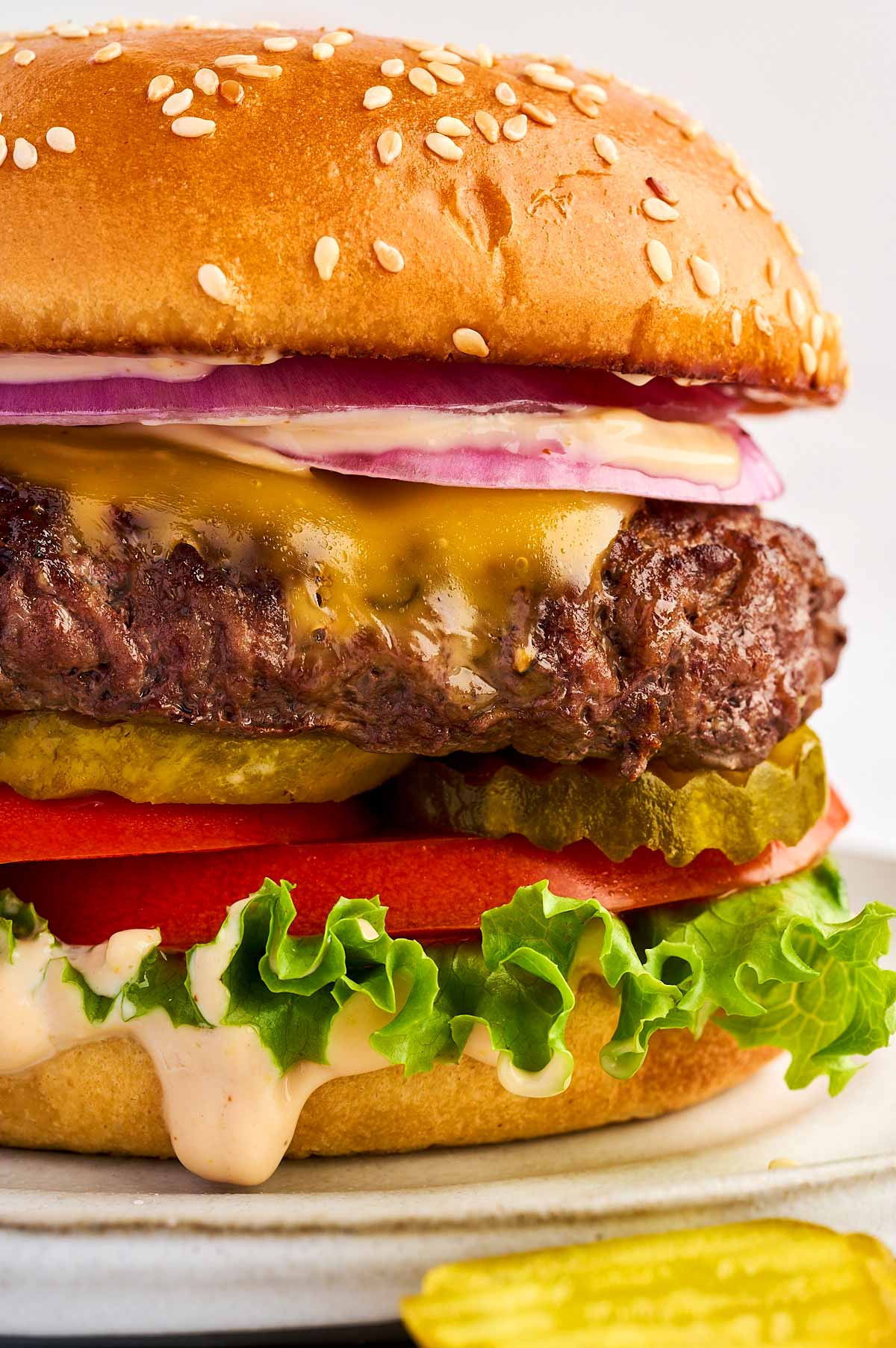 Close up photo of a burger.