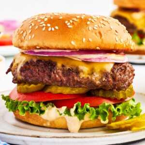 Burger on a white plate.