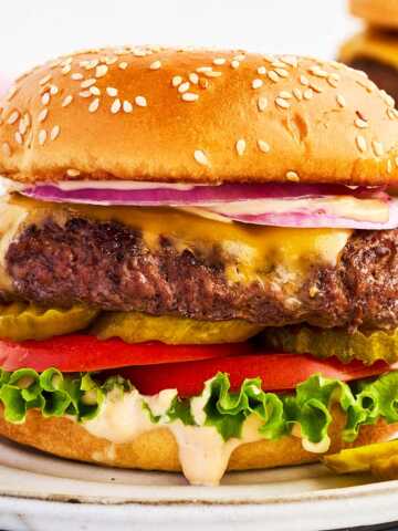 Burger on a white plate.