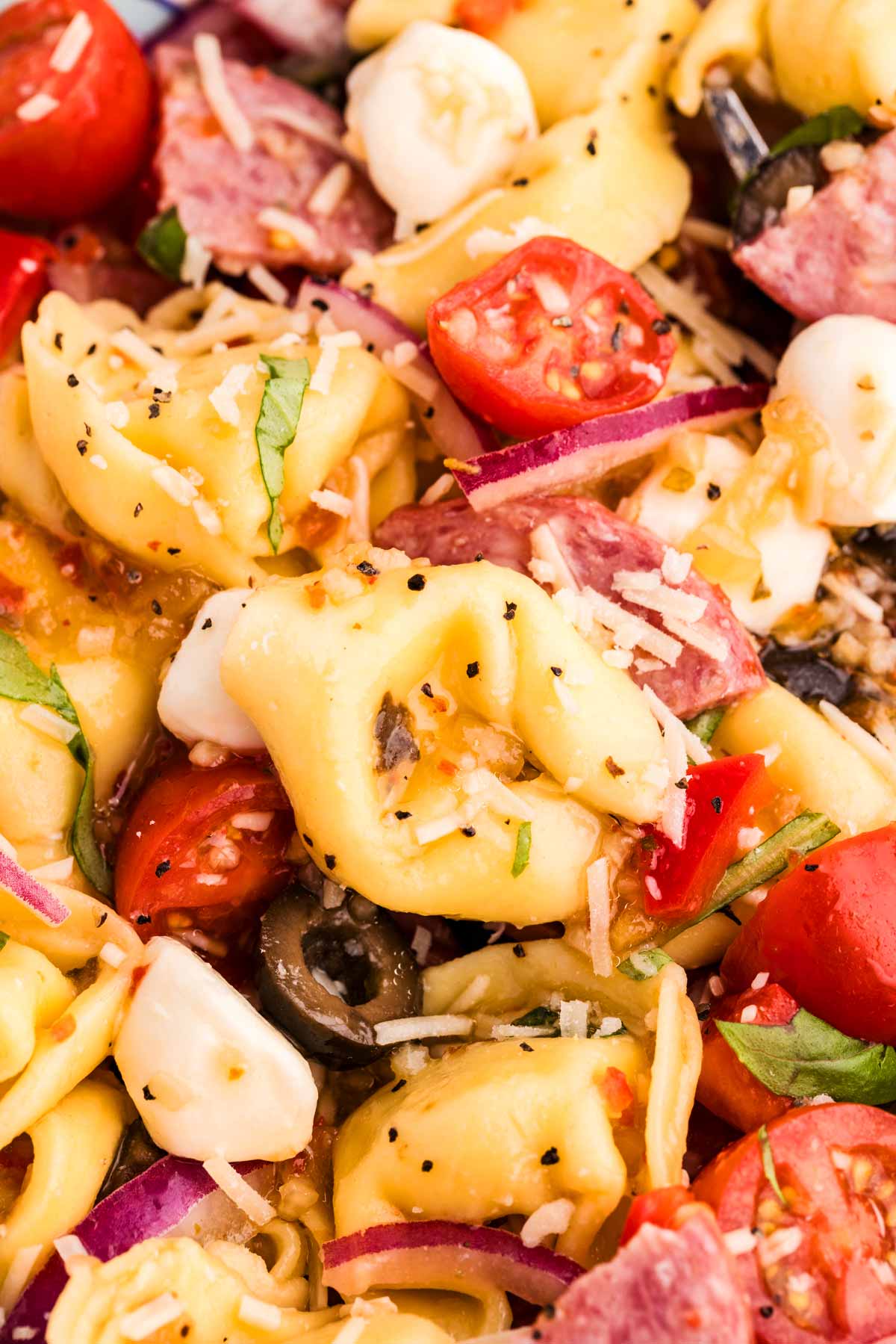 Close up photo of Tortellini Pasta Salad.
