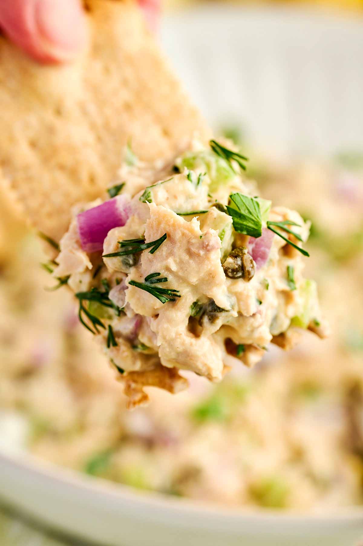 Close up view of tuna salad scooped on a cracker.