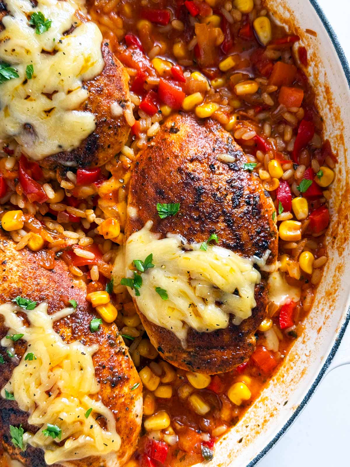 Close up photo of a chicken breast on top of salsa rice.