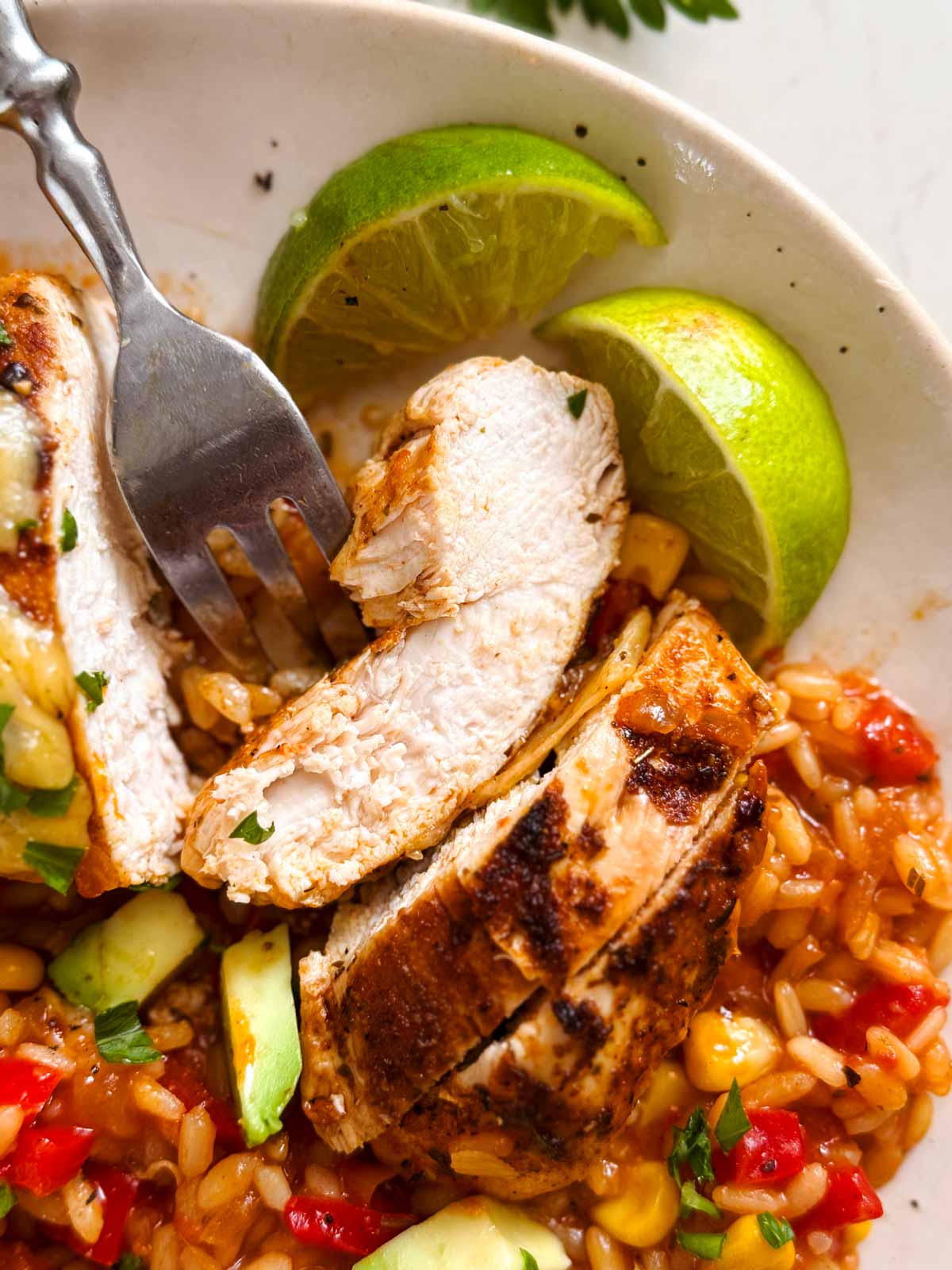 Close up of sliced salsa chicken.