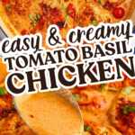 Creamy Tomato Basil Chicken Pin