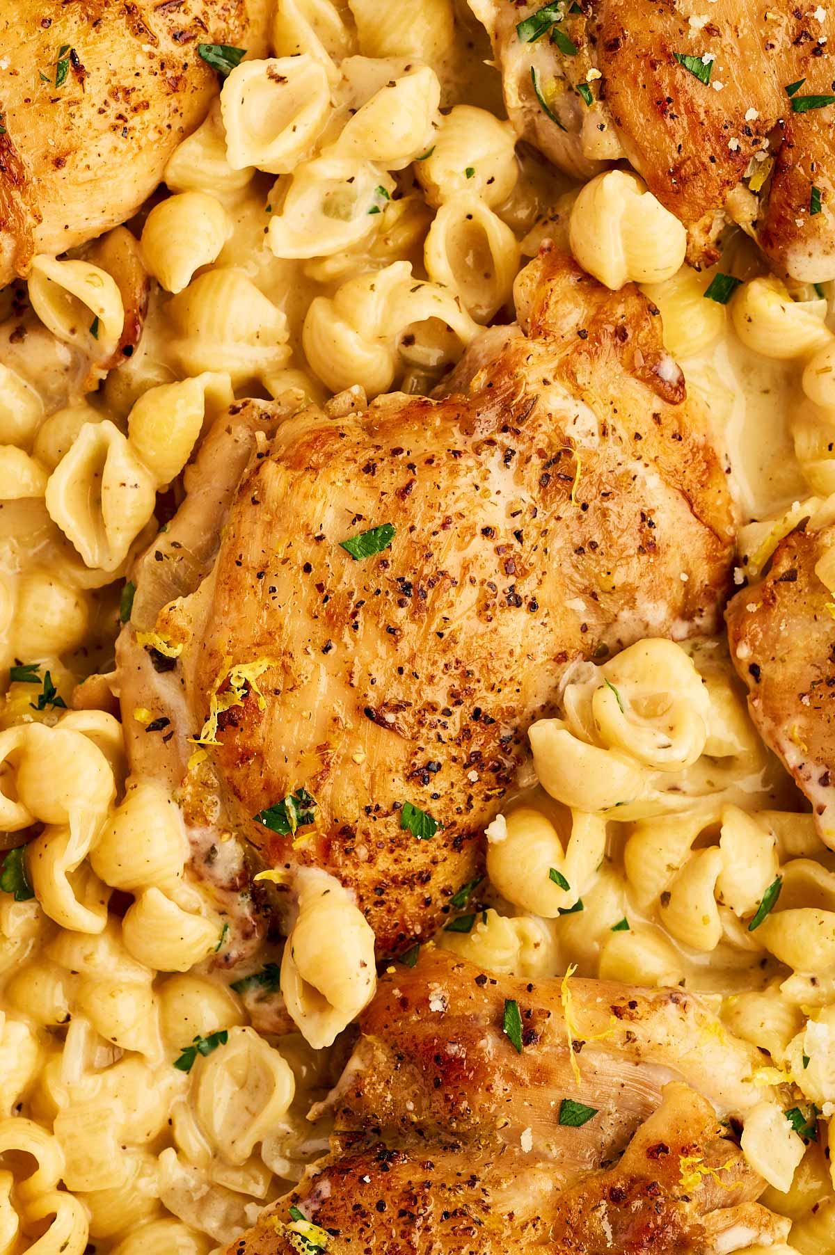 Close up photo of chicken thigh and pasta.