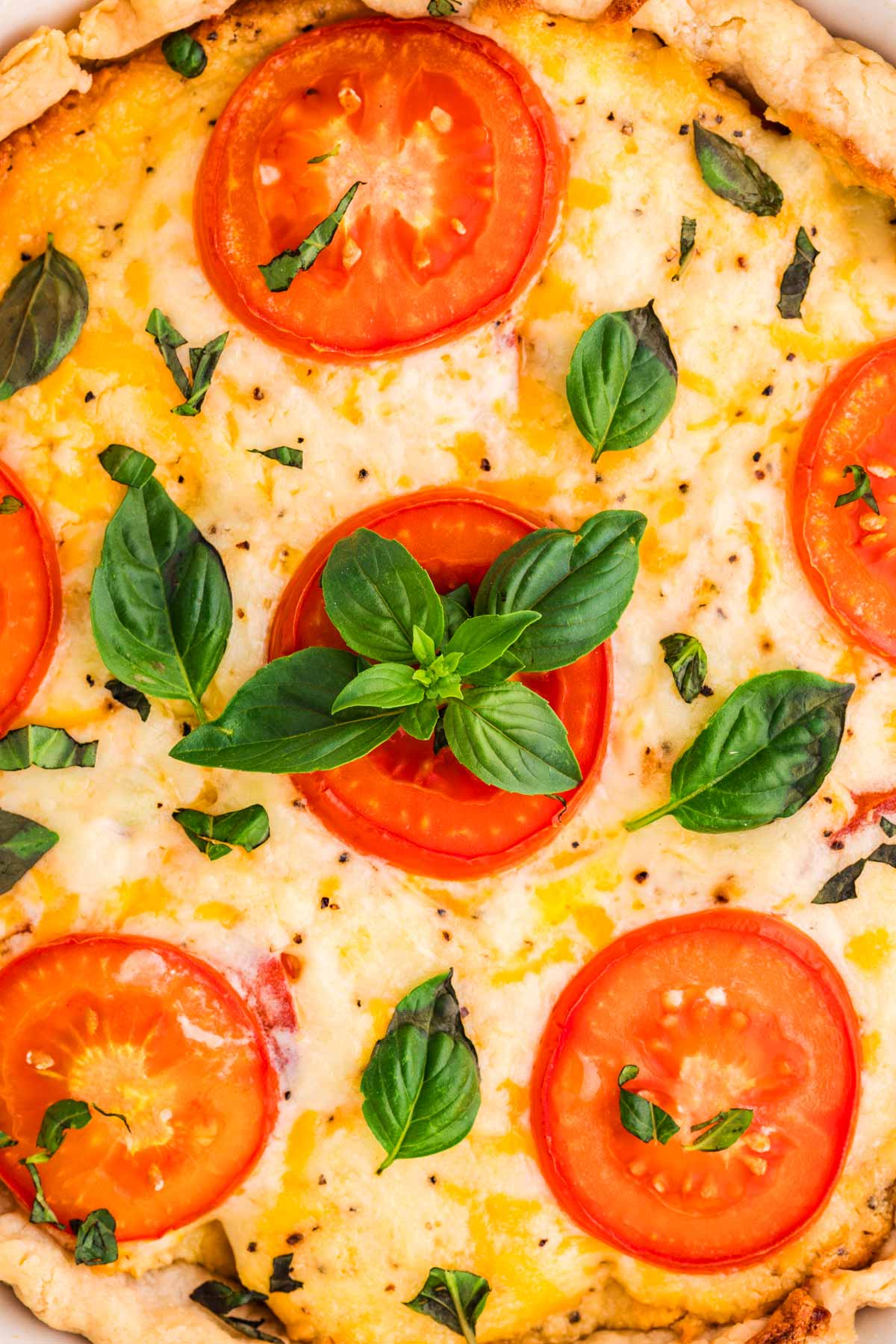 Close up photo of a tomato pie.