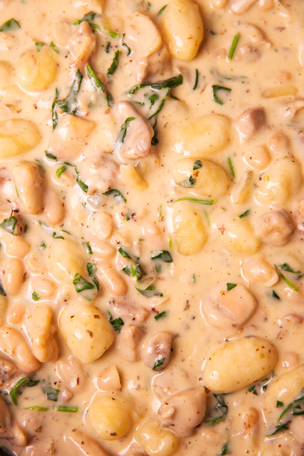 Close up photo of creamy garlic parmesan chicken gnocchi.