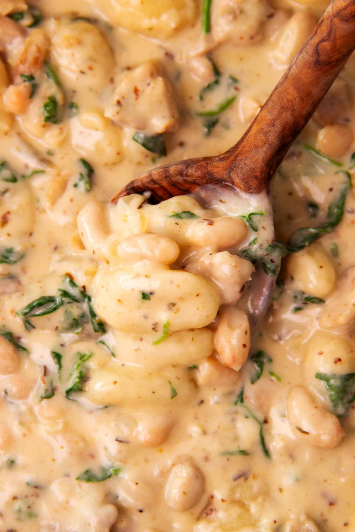 Close up photo of a wooden spoon scooping up creamy chicken and gnocchi.