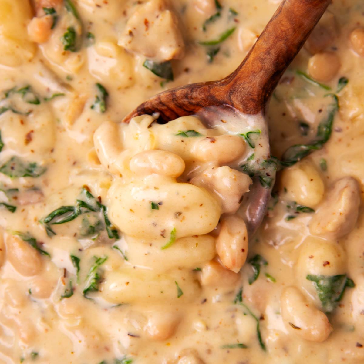 Creamy Garlic Parmesan Chicken Gnocchi