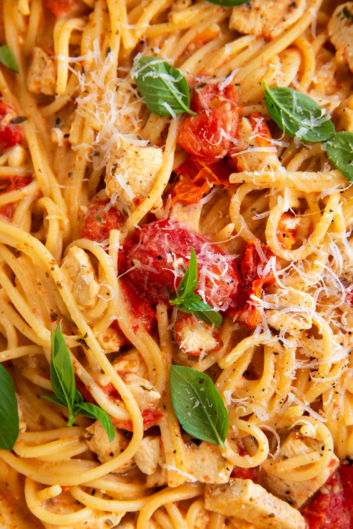 Close up photo of tomato basil chicken pasta.