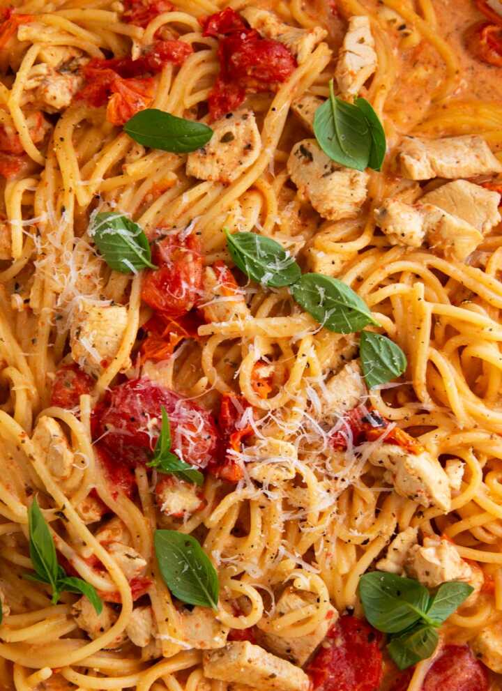 Close up photo of cherry tomato chicken pasta.