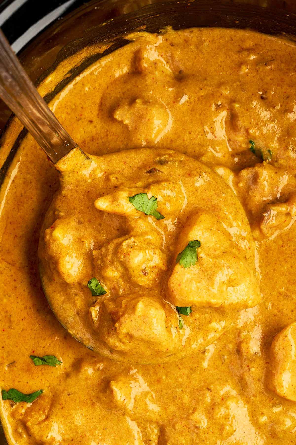 Close up of a ladle full of coconut chicken curry.