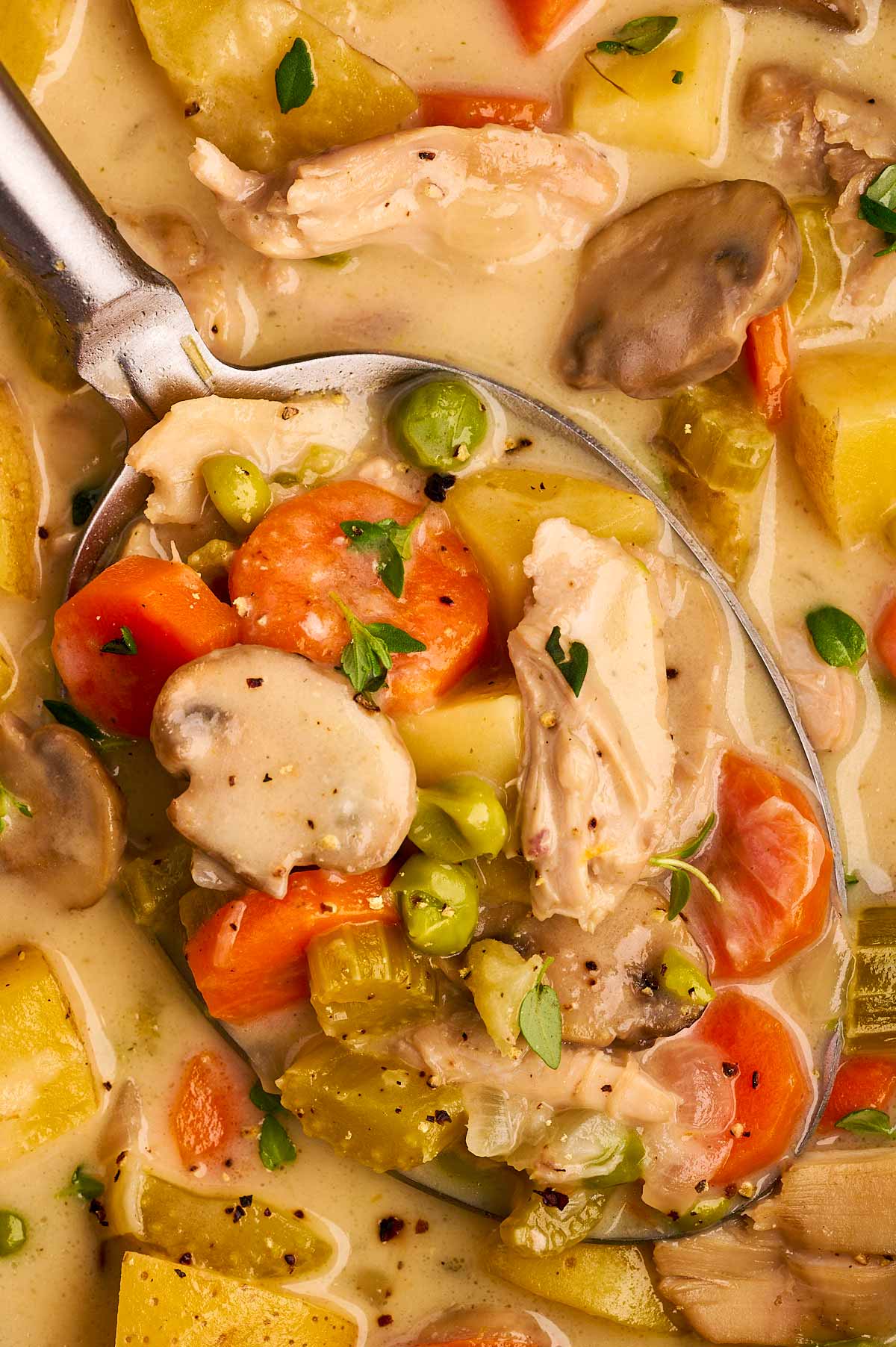 Close up photo of chicken stew on spoon.