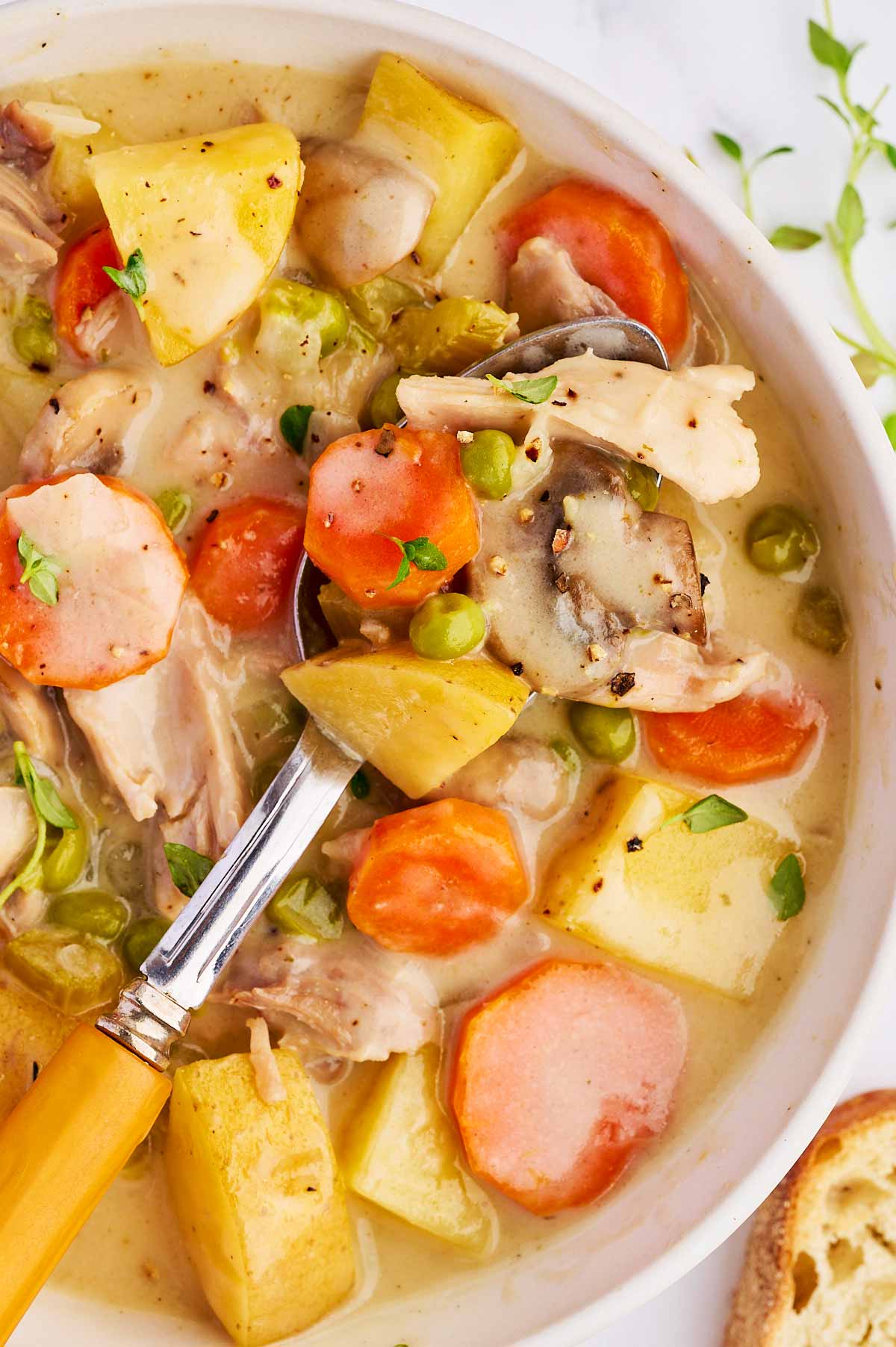 Bowl of chicken stew.