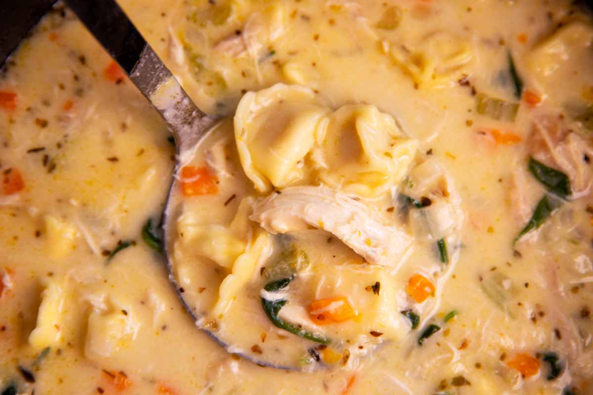 Ladle full of creamy chicken tortellini soup.
