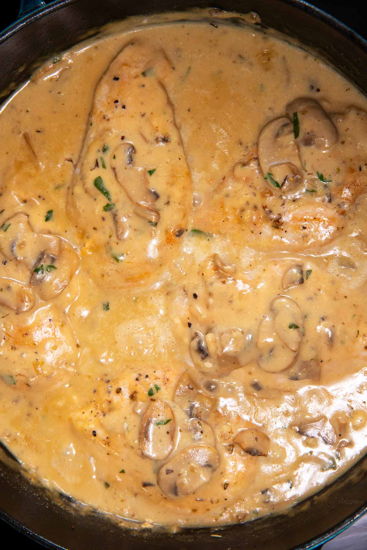 Chicken breast simmering in a creamy mushroom sauce.