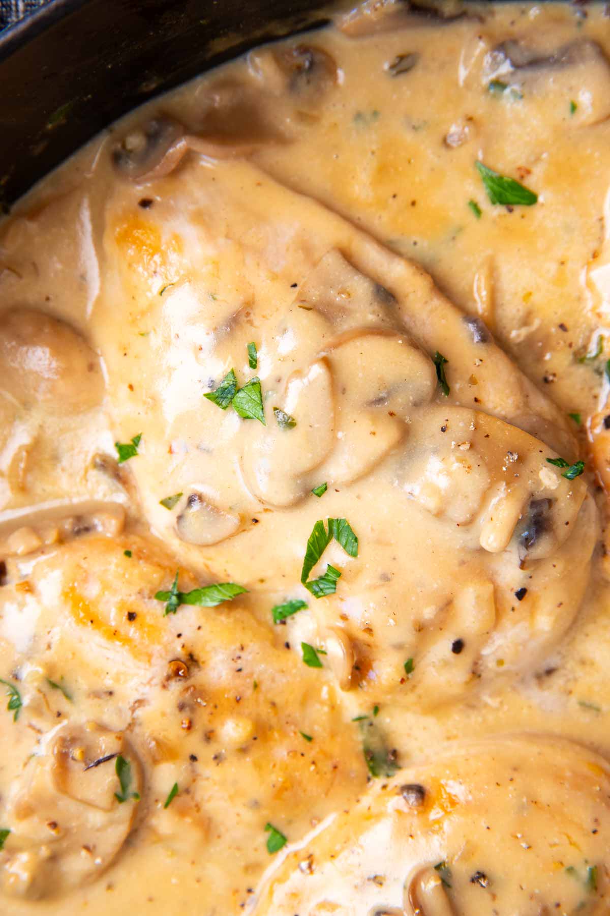 Close up photo of a chicken breast with creamy mushroom sauce.