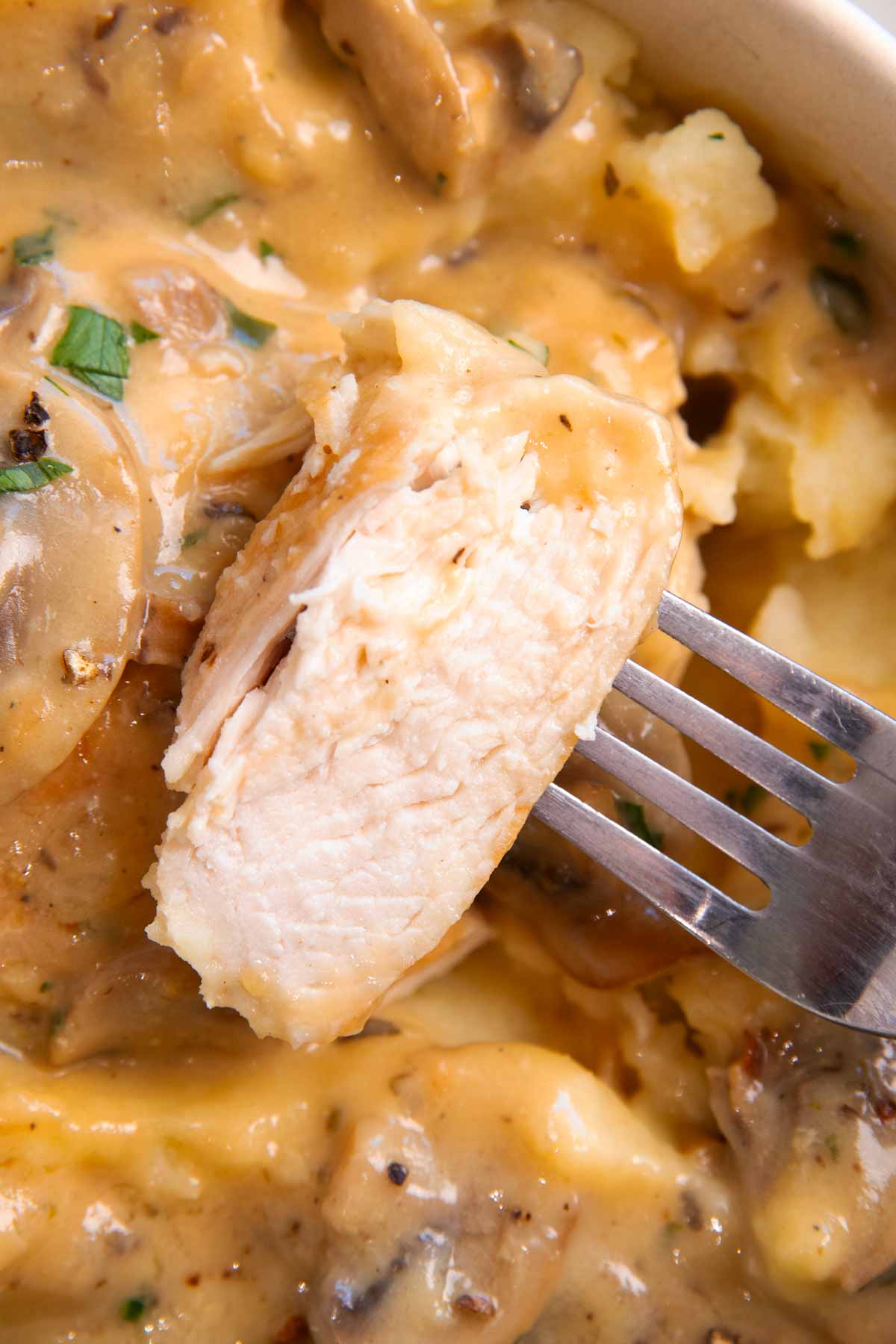 Slice of chicken breast in mushroom sauce on fork.