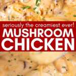 Creamy Mushroom Chicken Recipe Image Pin