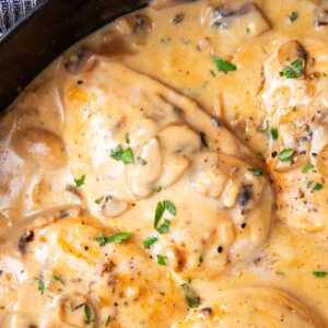 Close up photo of a chicken breast with creamy mushroom sauce.