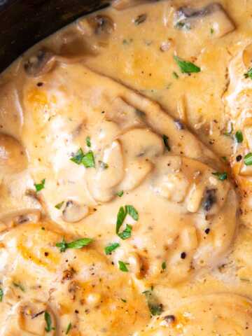 Close up photo of a chicken breast with creamy mushroom sauce.