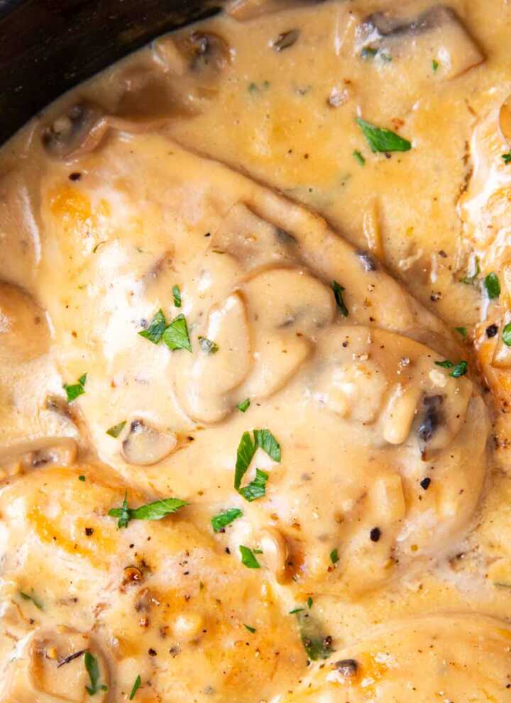 Close up photo of a chicken breast with creamy mushroom sauce.