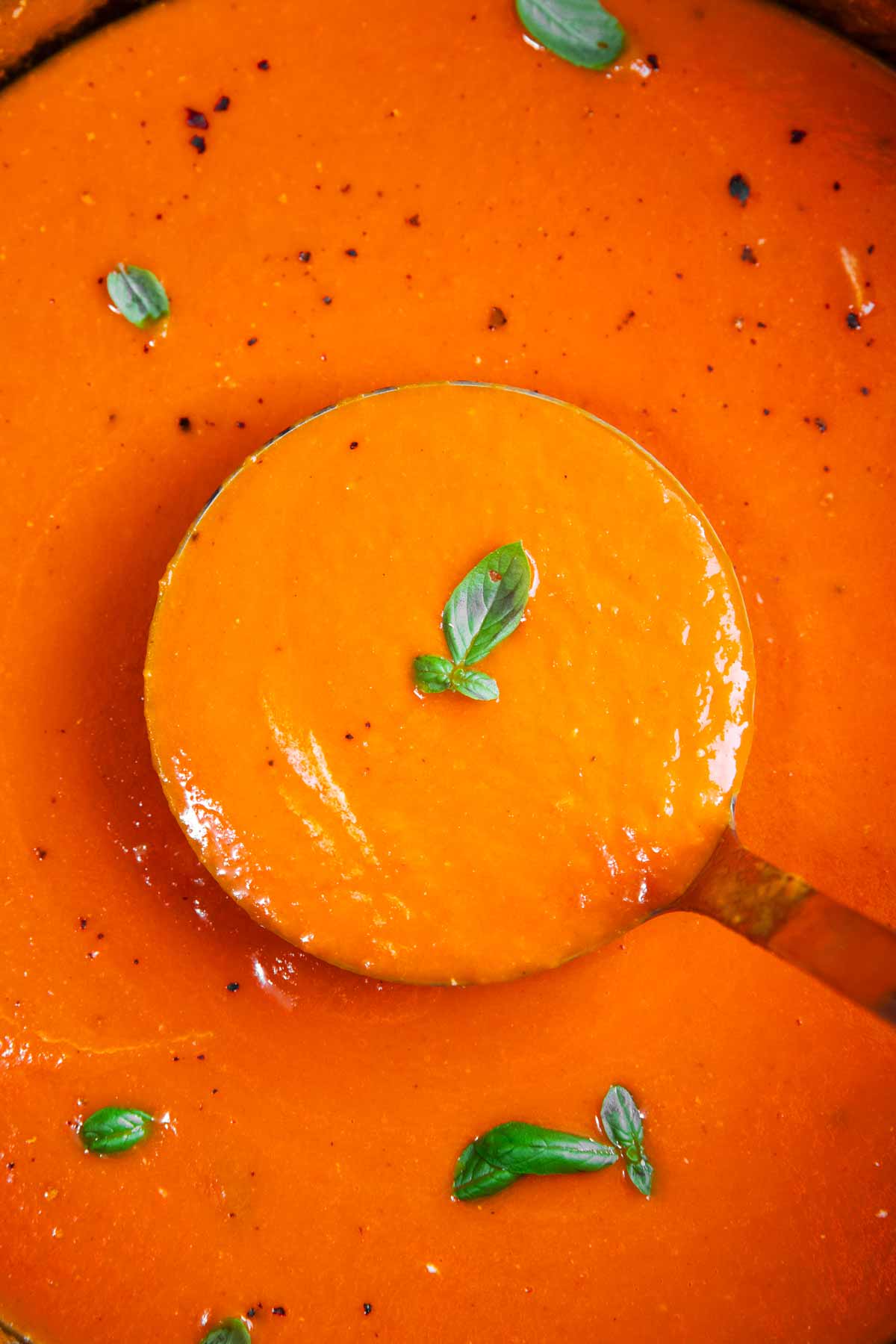 Close up photo of a ladle scooping tomato soup from a pot.
