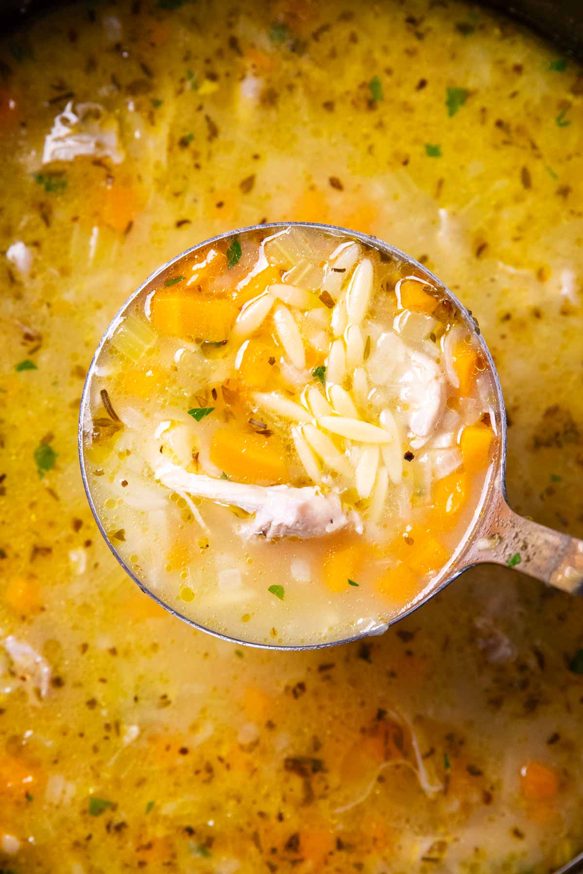 Close up of a ladle with lemon chicken orzo soup.