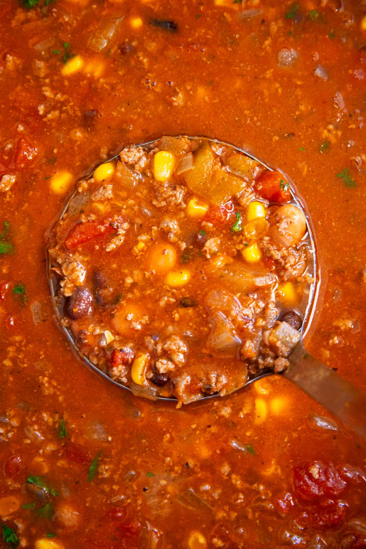 Close up photo of a ladle scooping taco soup from a pot.